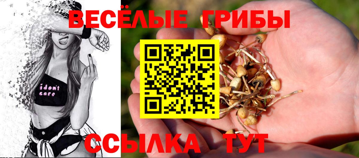 Краснокаменск  Галлюциногенные грибы Psilocybe  Вход с VPN  Галлюциногенные грибы GOLDEN TEACHER 